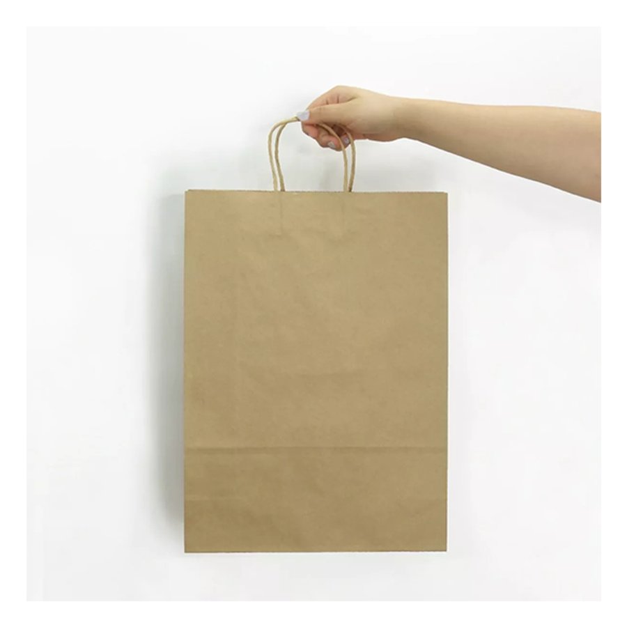 Bolsa Papel Kraft BP12 — foto 2