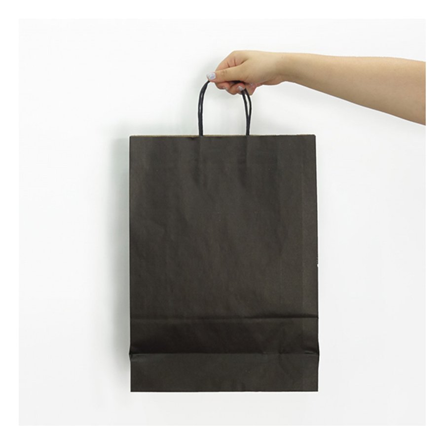 Bolsa Papel Kraft BP12 — foto 4