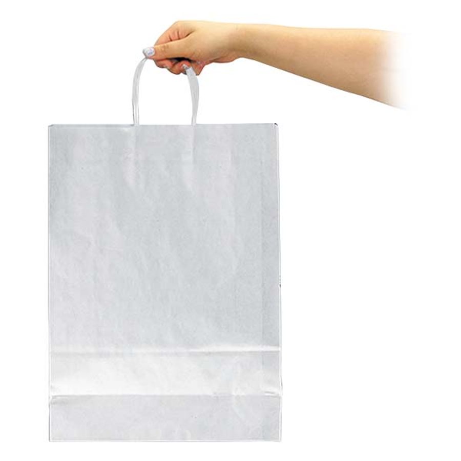 Bolsa Papel Kraft BP12 — foto 7