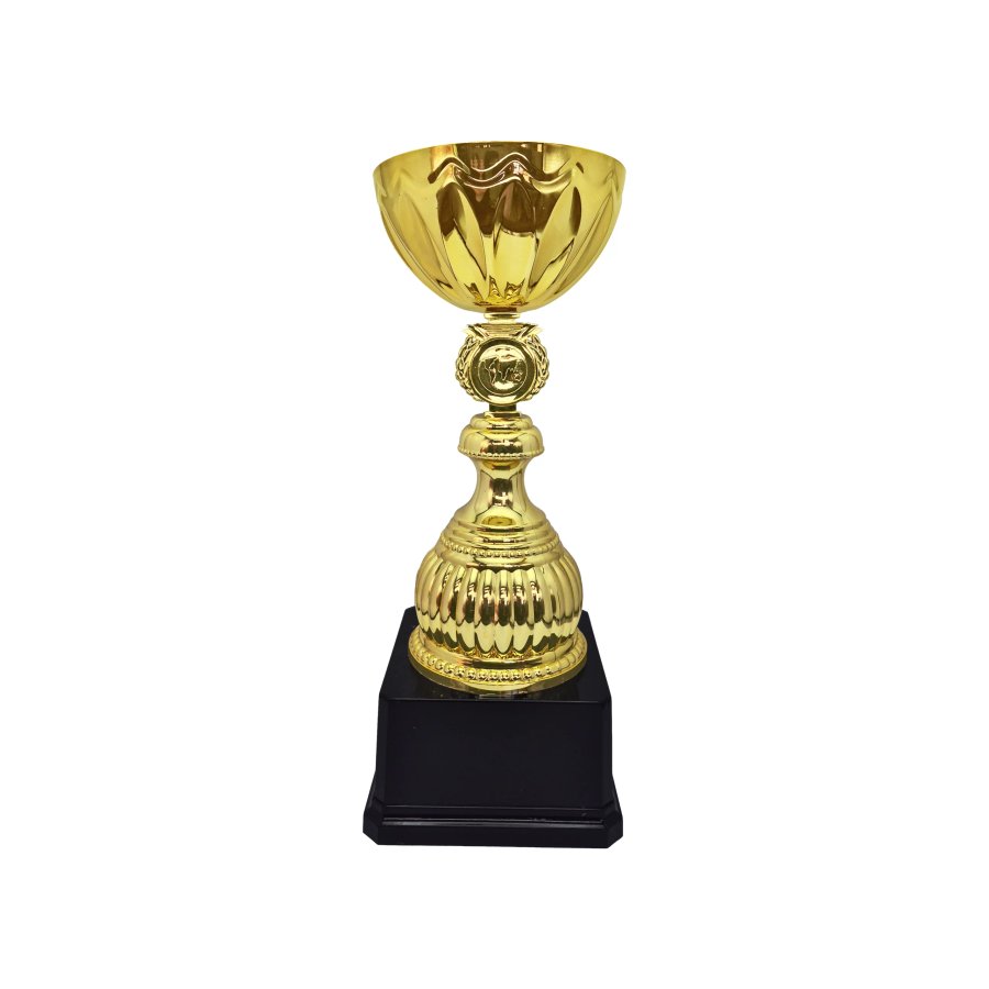Copa Alex 10 — foto 5