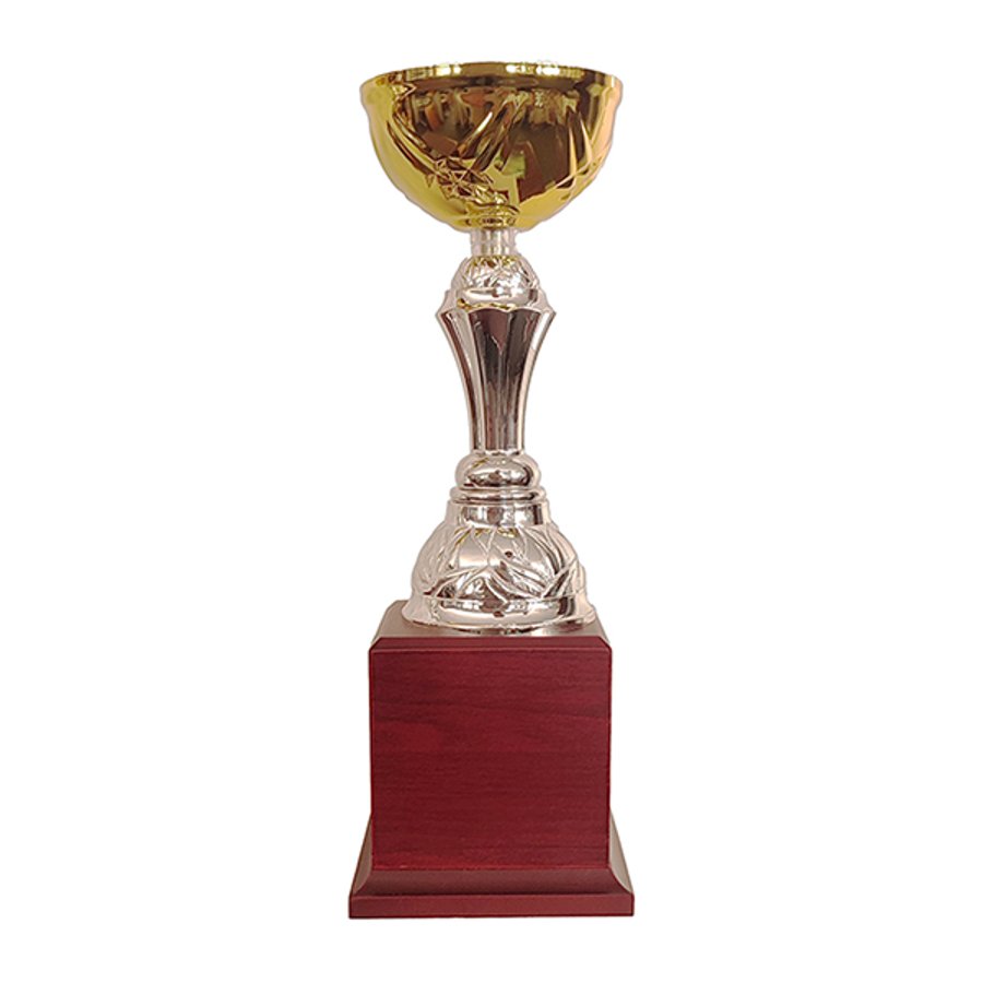 Copa BLAS 30 — foto 3