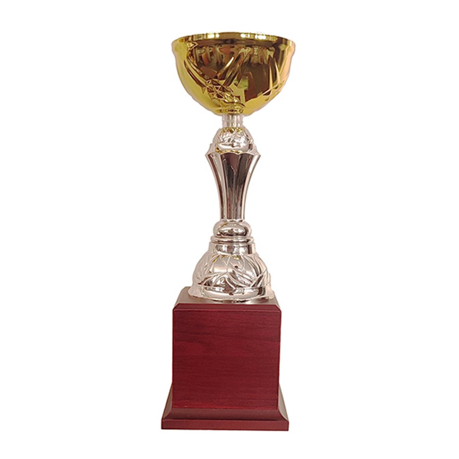 Copa BLAS 30 — foto 4