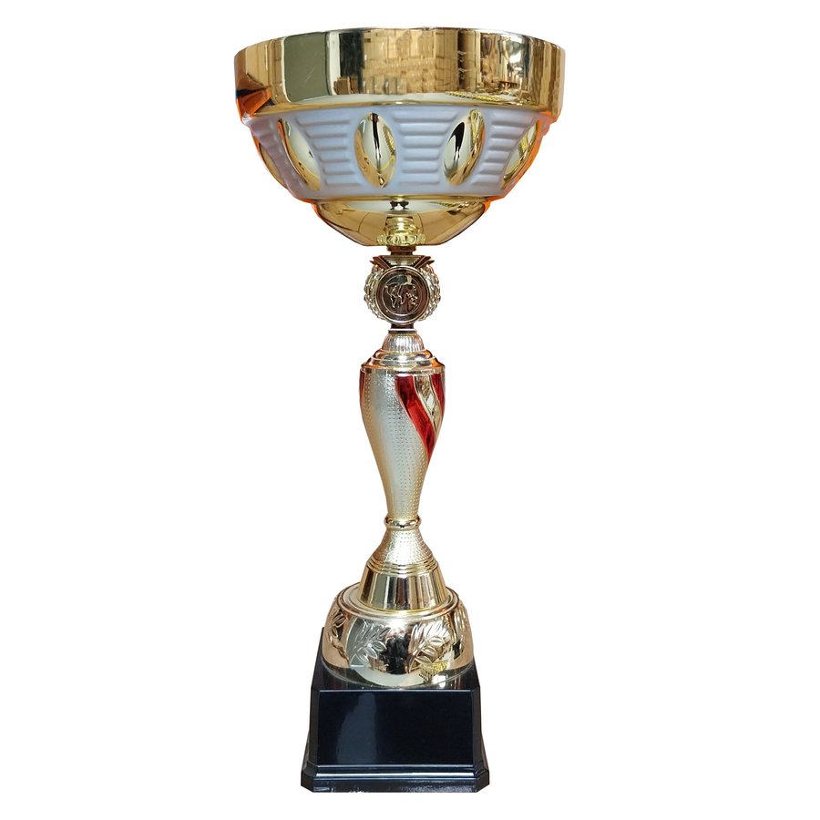 Copa DAN — foto 2