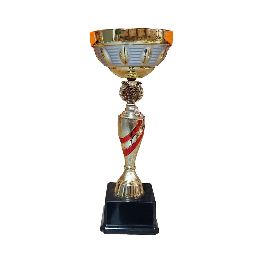 Copa DAN — foto 3