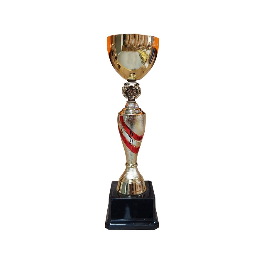 Copa DAN — foto 4