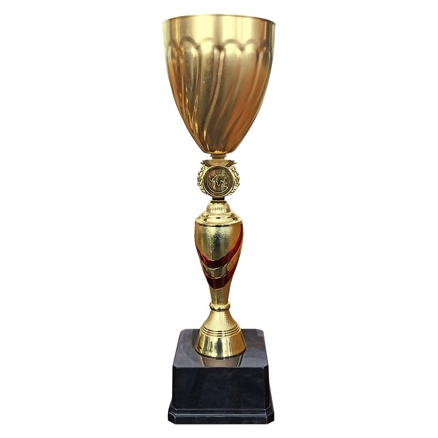 Copa GIO — foto 2