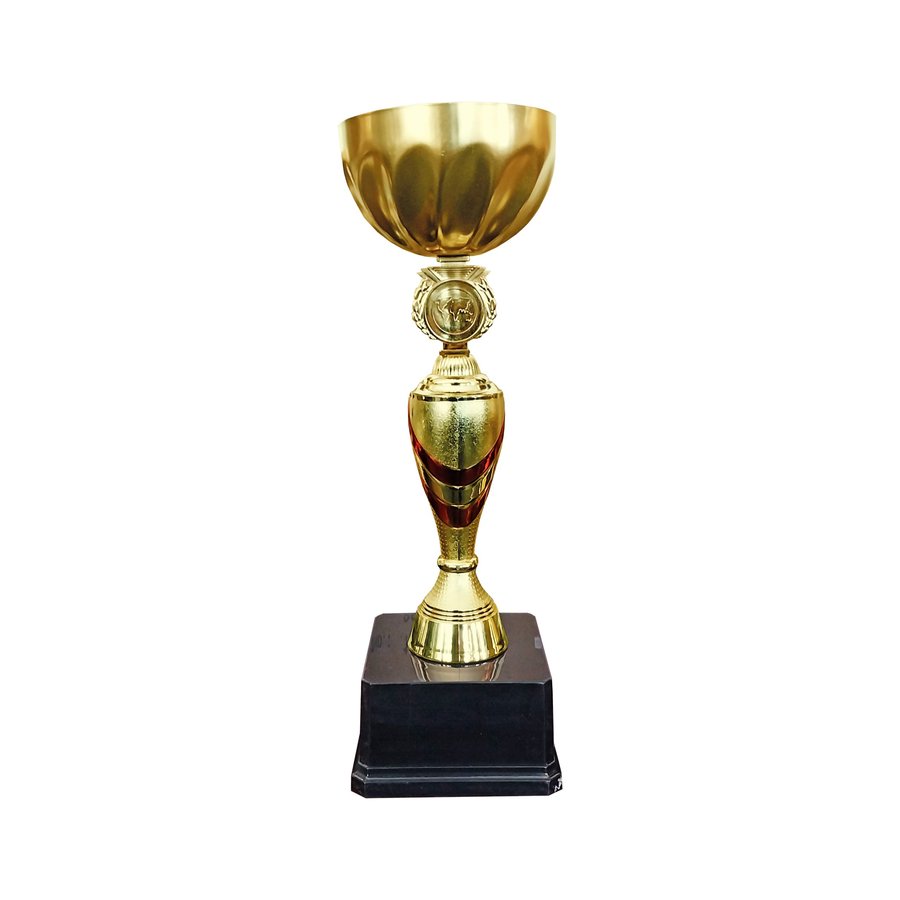 Copa GIO — foto 4