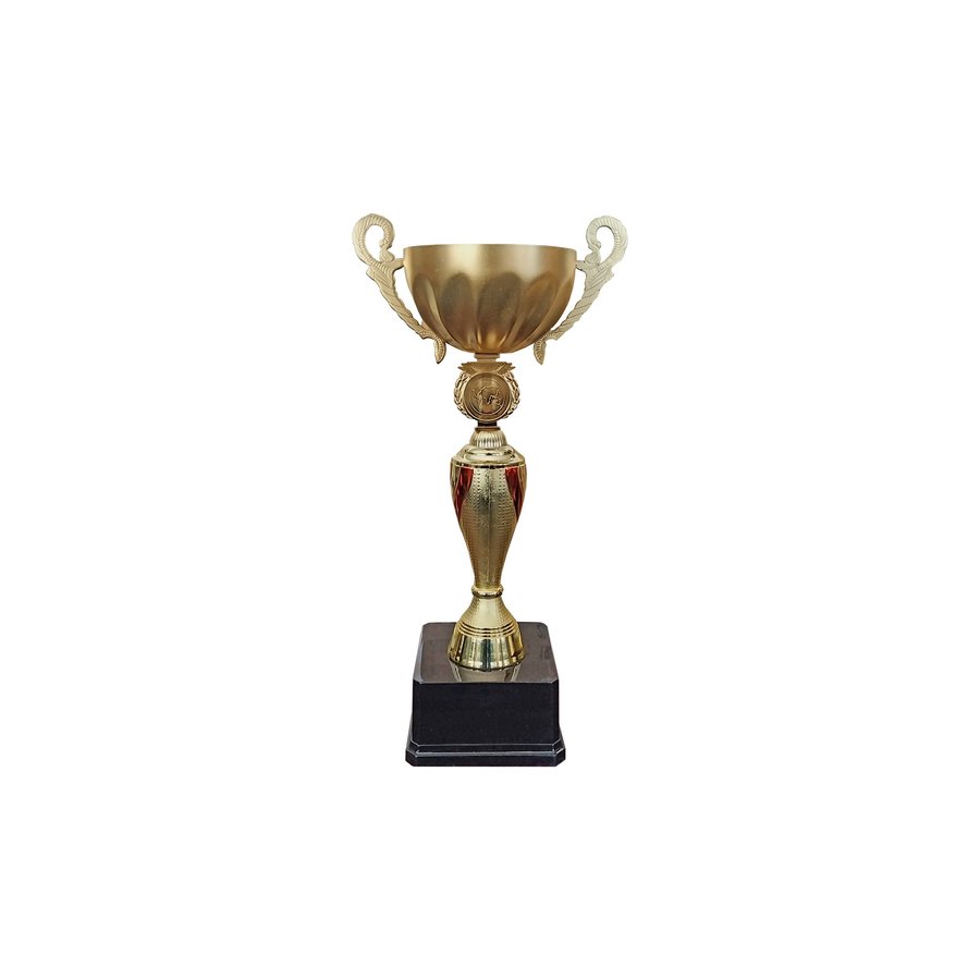 Copa JN — foto 4