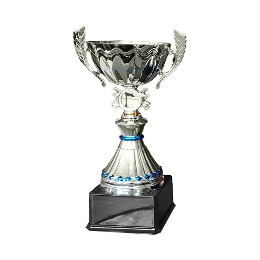 Copa VIC — foto 3
