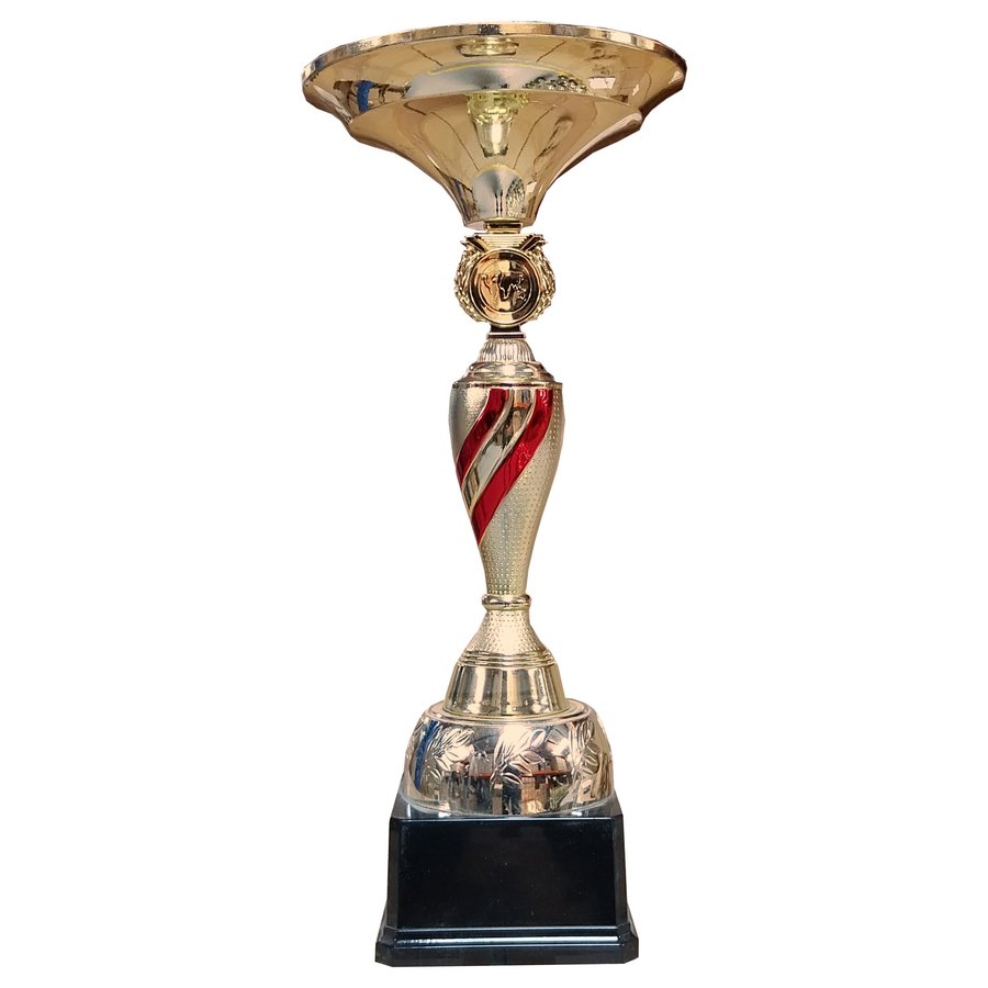 Copa ZK — foto 2