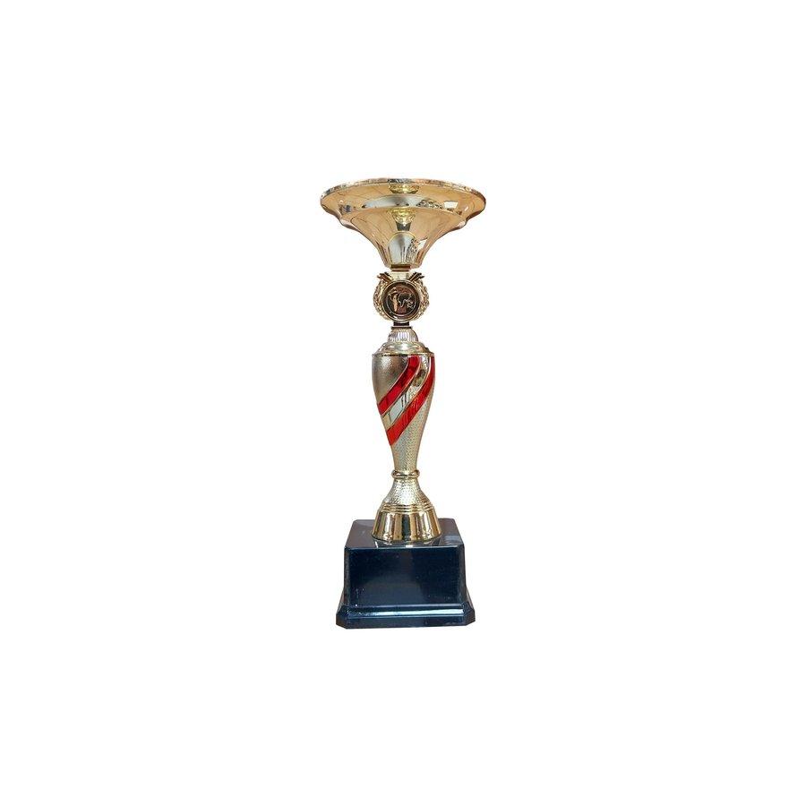 Copa ZK — foto 5