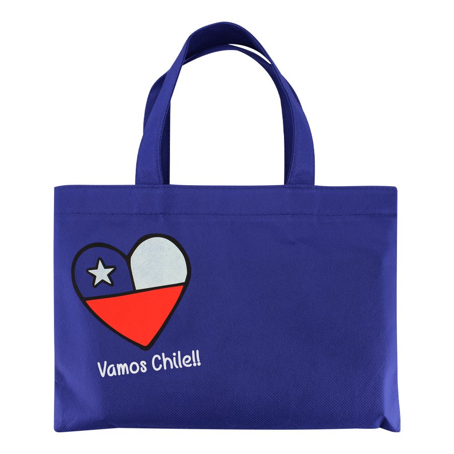 Bolsa TNT Vamos Chile — foto 2