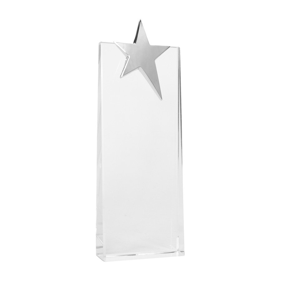 Trofeo Galvano de Cristal "Ledecky" — foto 2