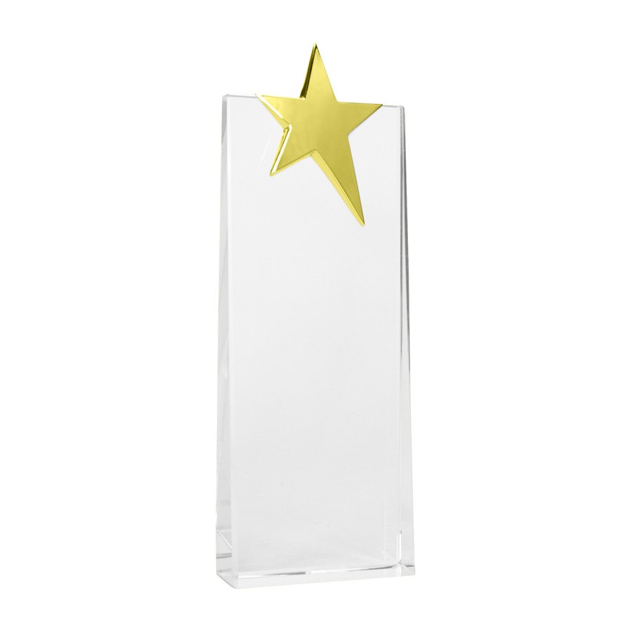 Trofeo Galvano de Cristal "Ledecky" — foto 4