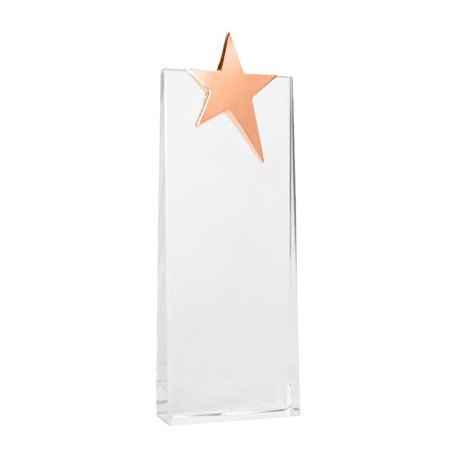 Trofeo Galvano de Cristal "Ledecky" — foto 7